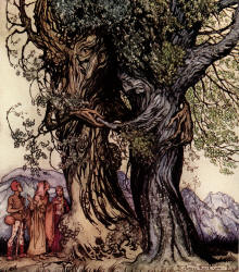 Arthur Rackham - '''I am old Philemon!'' murmured the oak. ''I am old Baucis!'' murmured the linden-tree' from ''Hawthorne's Wonder Book'' (1922)