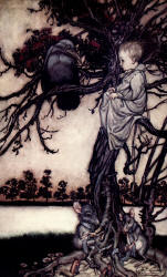 Arthur Rackham - 'Put his strange case before old Solomon Caw' from ''Peter Pan in Kensignton Gardens'' (1906)