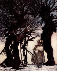 Arthur Rackham - 'They warned her' from ''Peter Pan in Kensignton Gardens'' (1906)