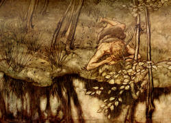 Arthur Rackham - 'Siegfried sees himself in the stream' from ''Siegfried & The Twilight of the Gods'' (1911), written by Richard Wagner