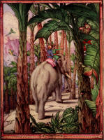 Edward Julius Detmold illustration for ''The Arabian Nights''