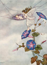 Ida Rentoul Outhwaite's 'Fairy-Beauty rocks a Babe' from ''The Enchanted Forest''