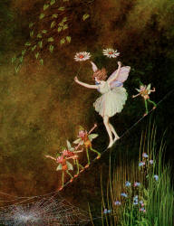 Ida Rentoul Outhwaite - 'The members of a traveling Fairy Circus' from ''Bunny and Brownie - The Adventures of George and Wiggle'' (1930)