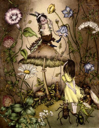 Adrienne Segur's 'Les Conseils d'une Chenille' ('Advice from a Caterpillar') from ''Alice au pays des merveilles'' (''Alice's Adventures in Wonderland'')