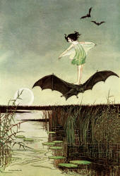 Ida Rentoul Outhwaite - 'The Witch's Sister on her Black Bat' from ''The Enchanted Forest'' (1921)