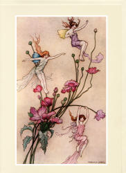 Greeting Card sample showing a colour illustration from Warwick Goble for ''The Book of Fairy Poetry'' (1920